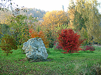 P&eacute;pini&egrave;re